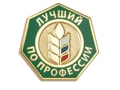 Региональный этап Всероссийского конкурса профессионального мастерства «Лучший по профессии» по номинации «Лучший печник»