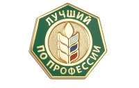 Региональный этап Всероссийского конкурса профессионального мастерства «Лучший по профессии» по номинации «Лучший печник»