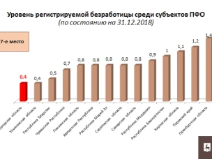 По итогам 2018 года Нижегородская область в рейтинге субъектов ПФО по уровню безработицы делит 1-е место вместе с Ульяновской областью, в рейтинге субъектов РФ – 7-е место